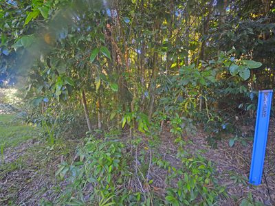 71 GREENDALE COURT, Jubilee Heights