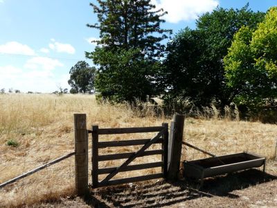Tocumwal