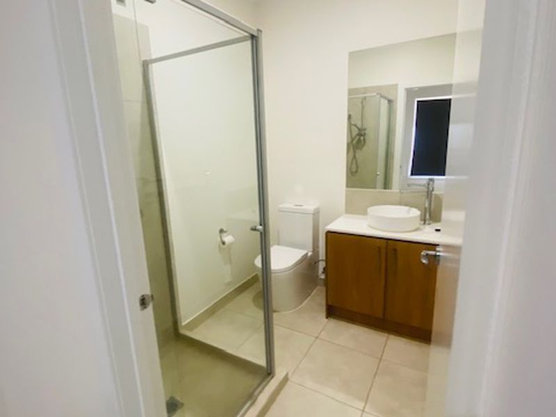 24 Rice Flower, Strathtulloh