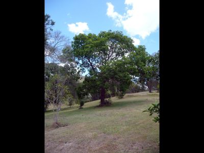 906 Moy Pocket Road, Kenilworth