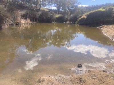 1950 FLAGGS ROAD, Gungal
