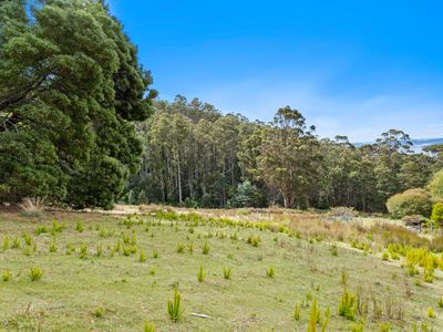 284 Llantwit Road, Woodbridge