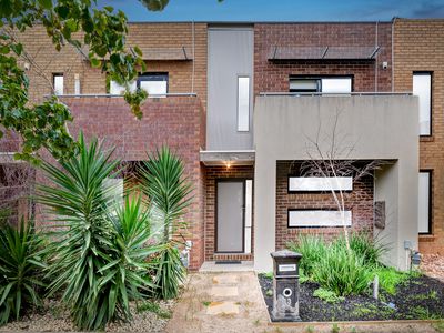 13 Cottonfield Way, Tarneit