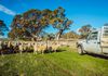 1918 Cavendish-Glendinning Road, Gatum