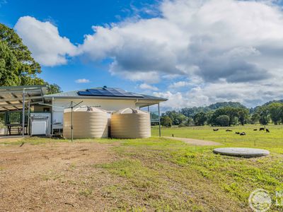 5644 Tweed Valley Way, Crabbes Creek