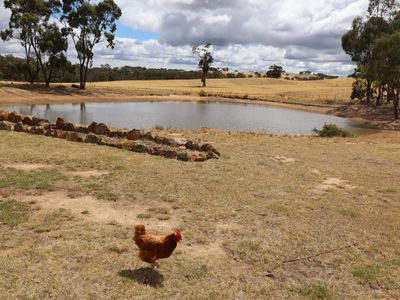 575 Hardings Lane, Tooborac