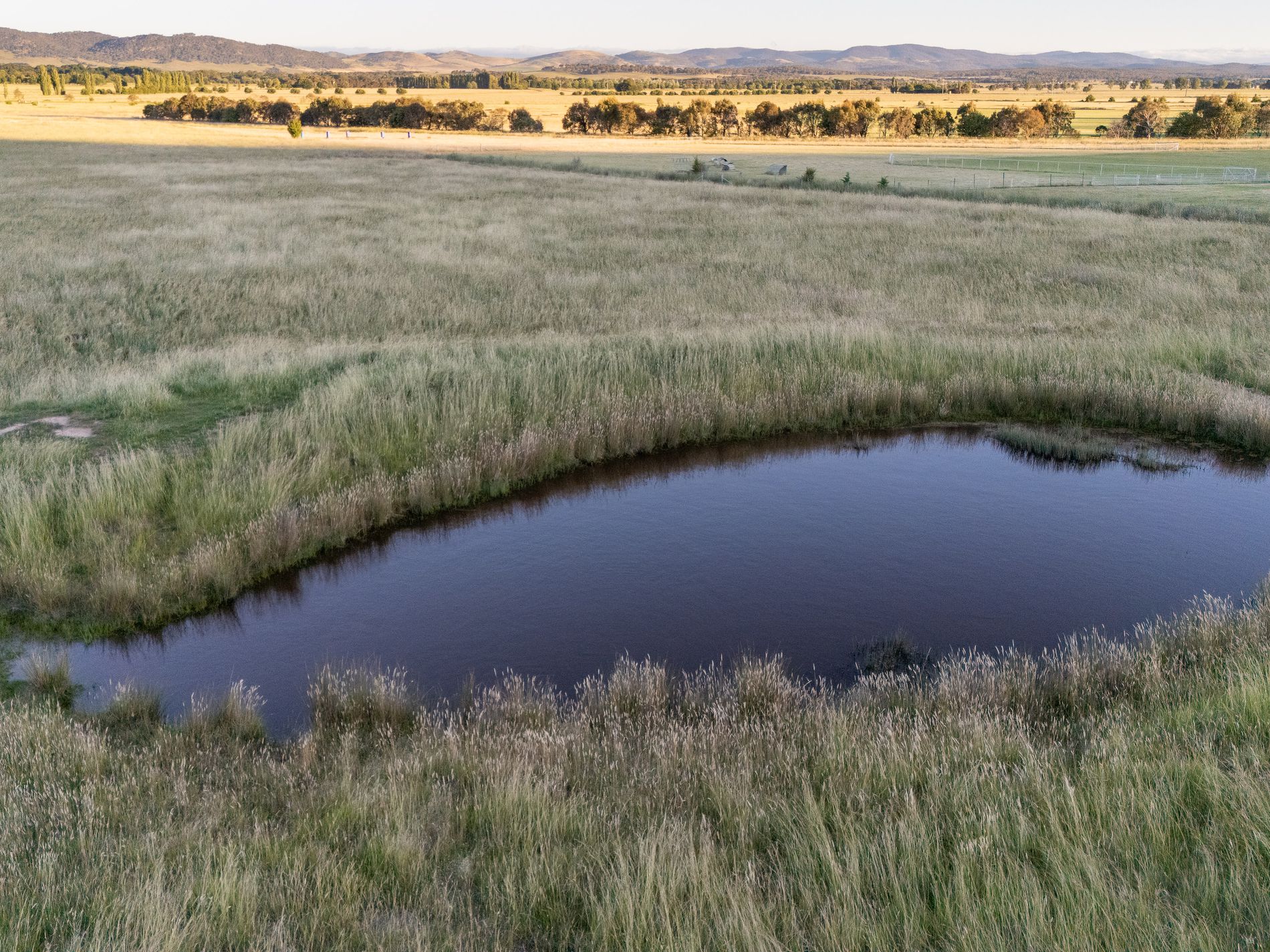 29 Mathews Lane, Bungendore