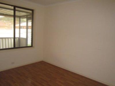 Mount Warrigal