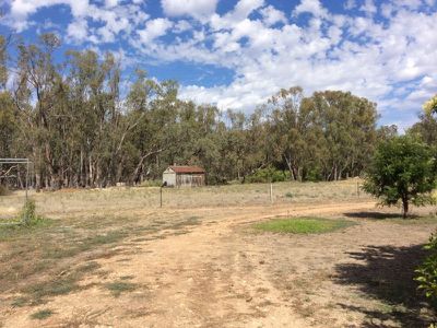 Deniliquin Road, Moulamein