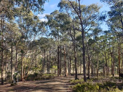 270 Woolleys Road, Lonnavale