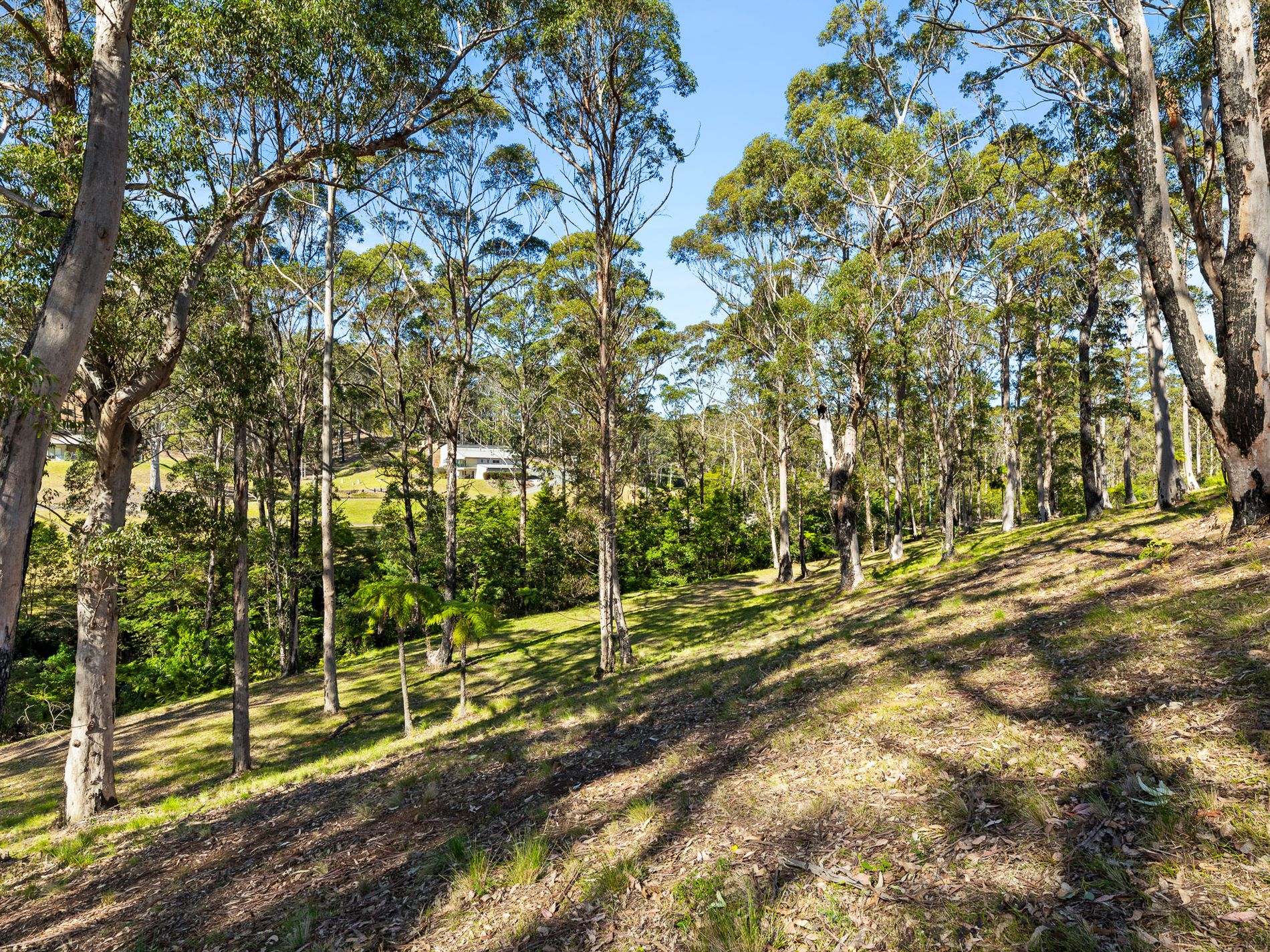 Lot 19, Worthy Drive, Malua Bay