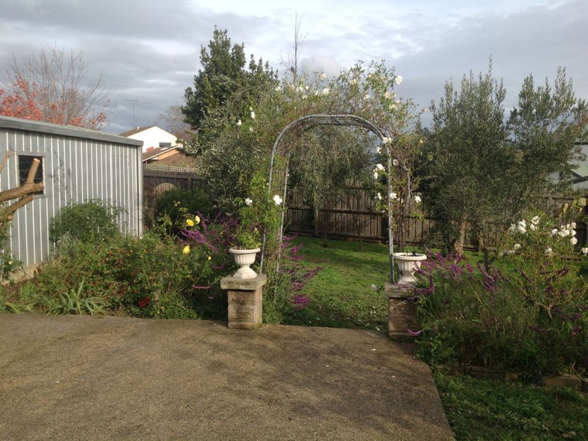 105 Mt Pleasant Road, Belmont