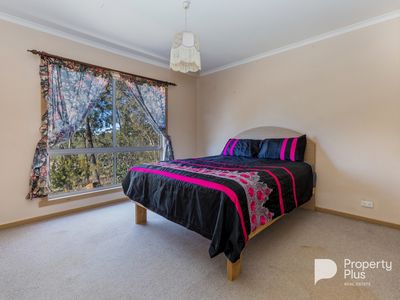 545 Muckleford-Yapeen Road, Yapeen