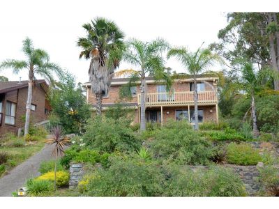 21 Andrea Street, Eden