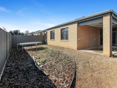 11 Saltbush Street, Jackass Flat