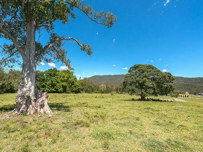 Canungra