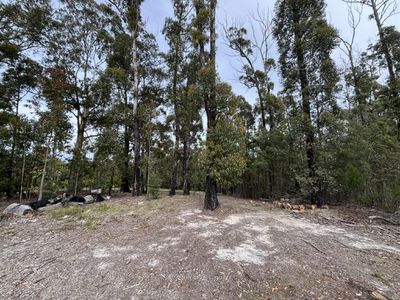 53 Karbeethong Avenue, Mallacoota