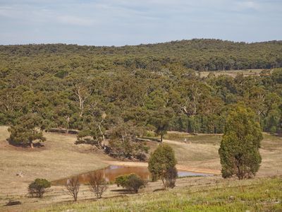 408 Mt Camel-Graytown Road, Redcastle