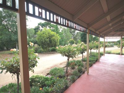 37 Chardonnay Drive, Milawa