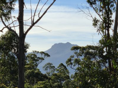 77 Grovenor Rise, Grove