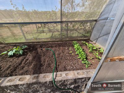 73 Tingoora Charlestown Road, Tingoora
