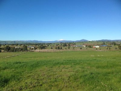 Lot 13, 20 Dundas Court, Mansfield