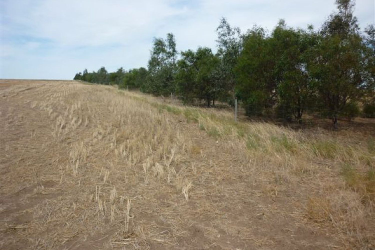 Lot 2 Brikkle Road, Brim