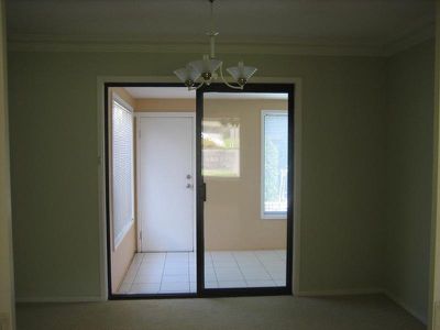 Mount Warrigal