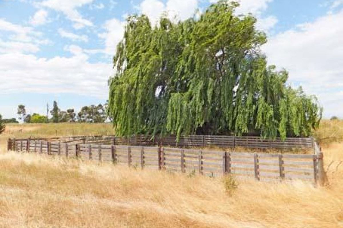 Lot 3 Graham Road, Kyabram