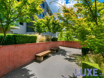 242 / 36 Philip Hodgins Street, Wright