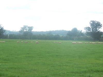 Corowa Road, Howlong