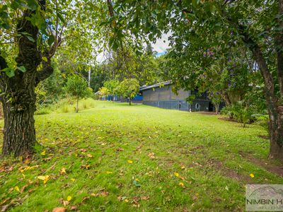 2210 Nimbin Road, Coffee Camp
