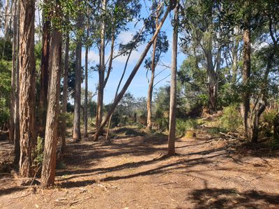 Lot 4 Holmes Road, Ellendale