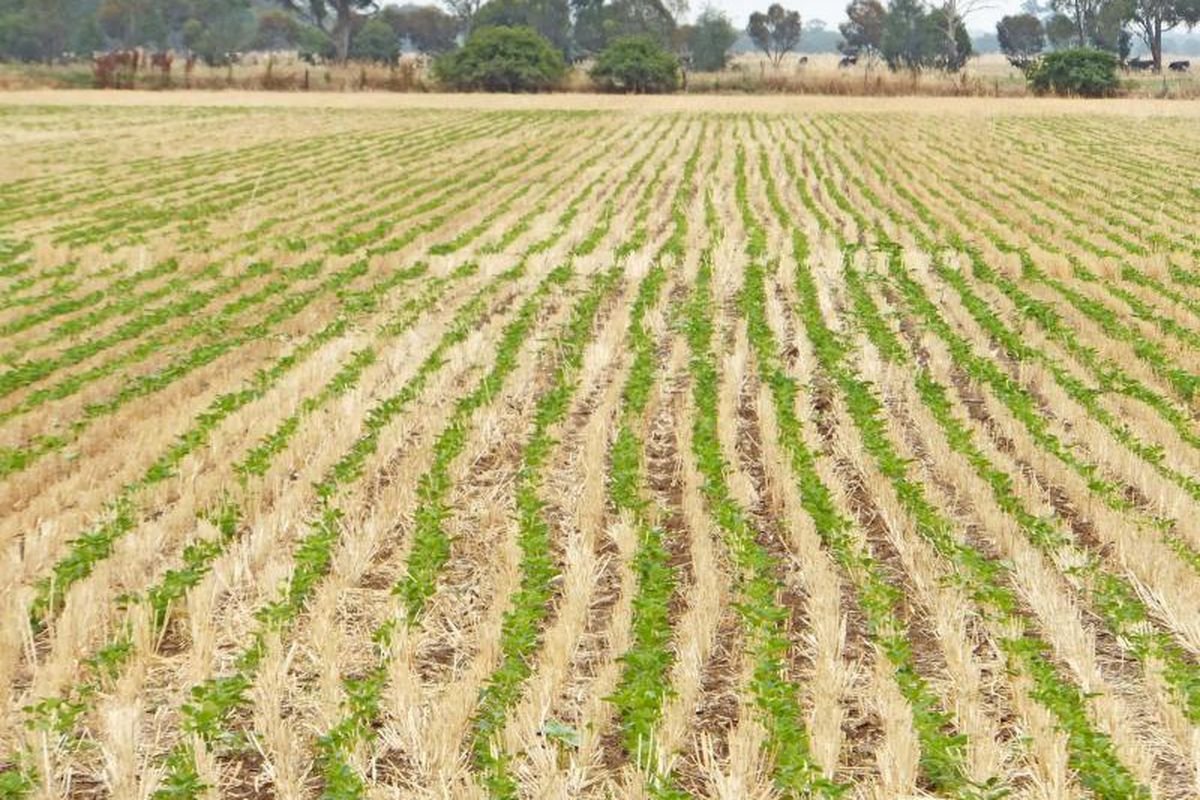 617 McEwen Road, Kyabram