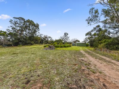 116 Hakea Drive, Millicent