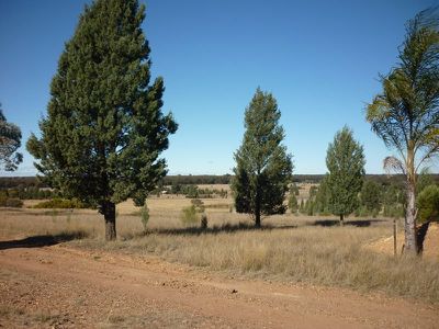 8L Morey Place, Dubbo