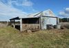915 Forest Road, Orange