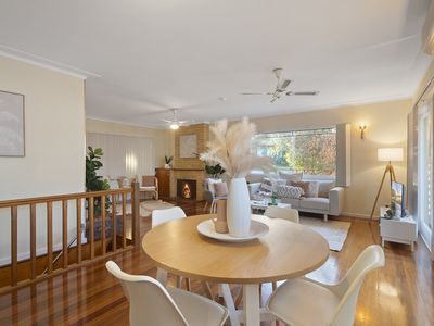 98 Brodie Street, Holland Park West