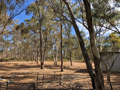 33 Richmond Plains Road, Wedderburn