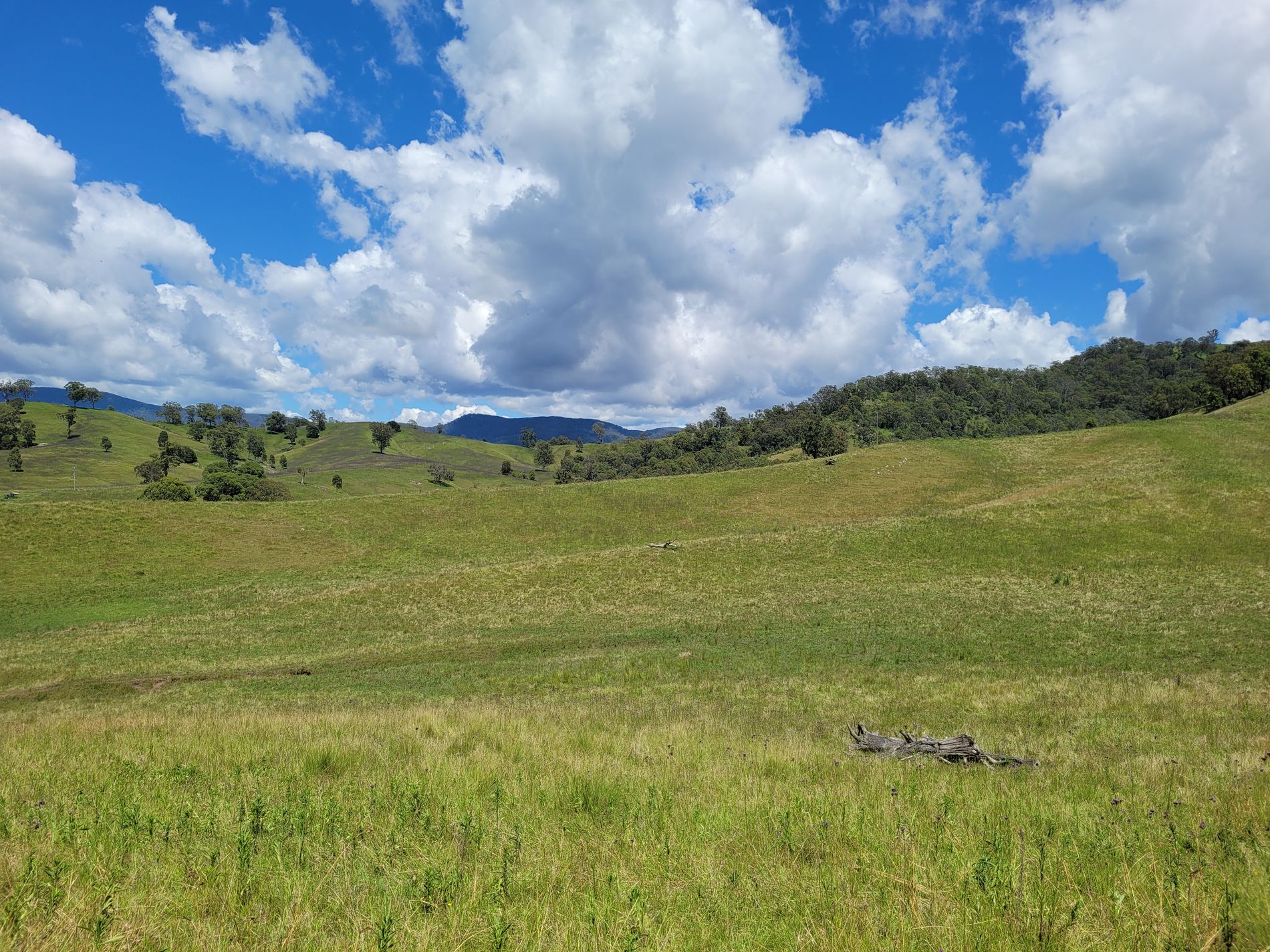 472 Neringla Road, Neringla