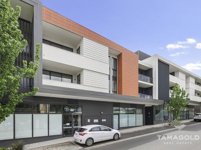 101 / 36 COPERNICUS CRESCENT, Bundoora