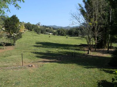 162 Walli Creek Road, Kenilworth