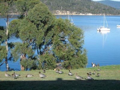 6707 Channel Highway, Deep Bay