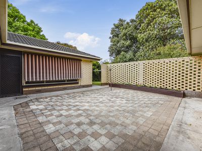 53 Williams Road, Millicent
