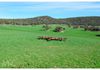 1370 Mid Western Highway, Evans Plains