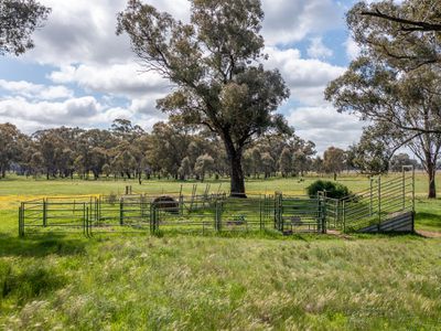 Lot 33, 36 & 36A, Walsh Road, Carlyle