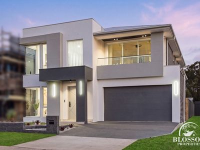 19 Hyssop Crescent, Marsden Park