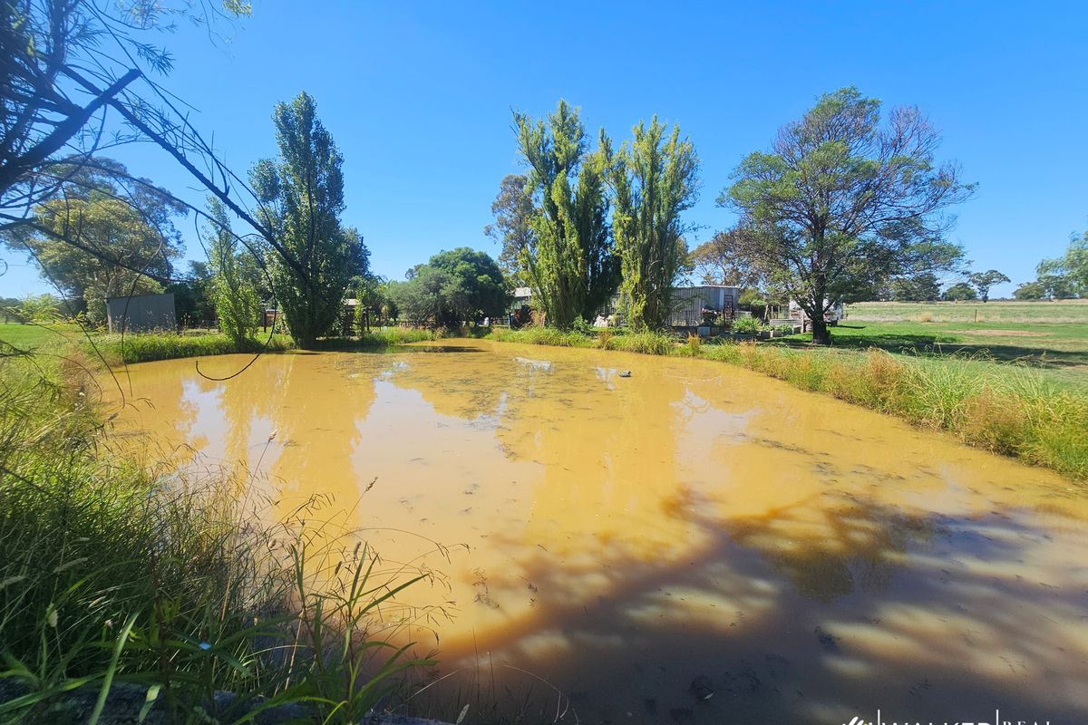 360 Craddock Road, Cooma