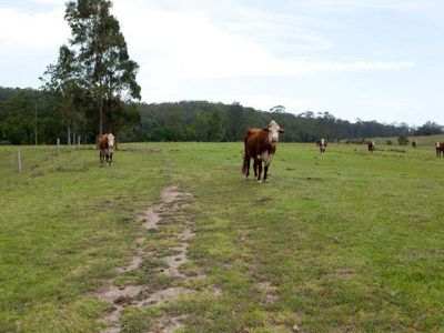 618 Half Chain Road, Koorainghat