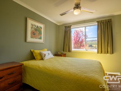 646 Glen Legh Road, Glen Innes